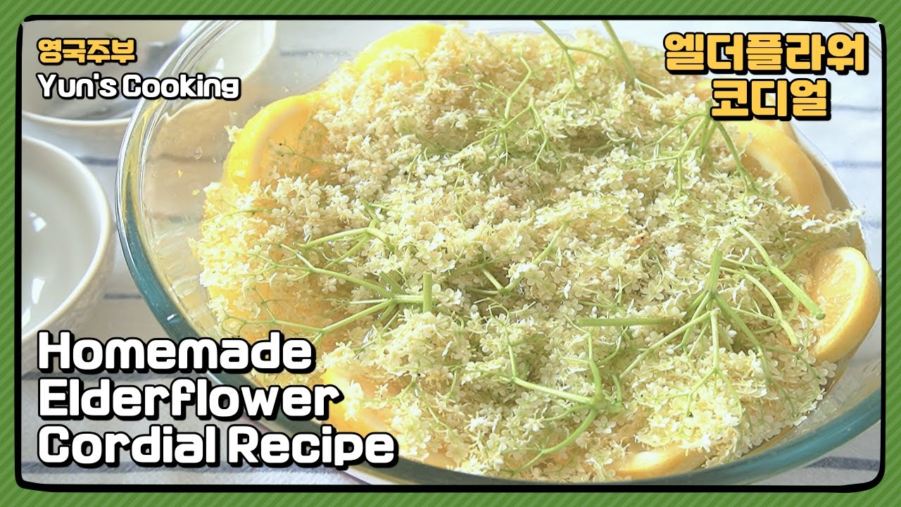 한국인이 모르는 정통 영국 음료 | 엘더플라워 코디얼 | 엘더플라워 시럽 | Homemade Elderflower Cordial | Elderflower Cordial