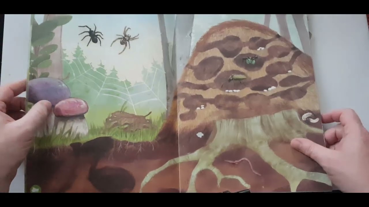 Books With Stickers Wild Forest And Zoo For Kids