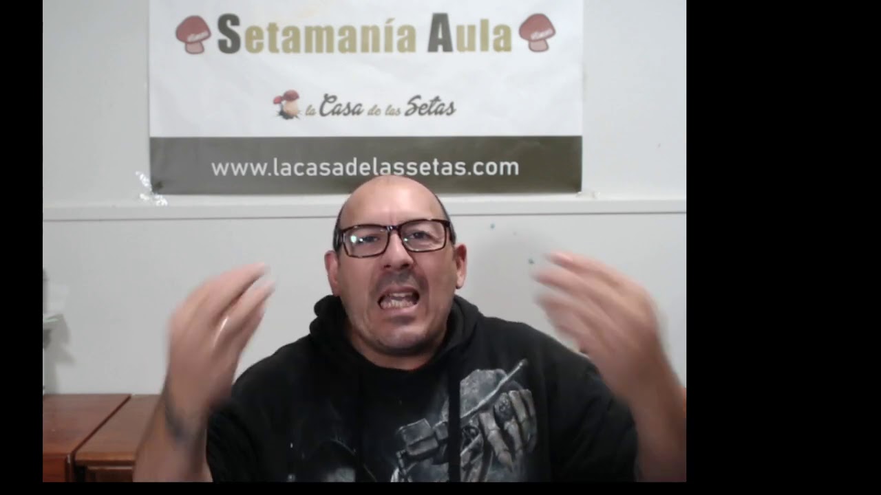 Últimas noticias sobre muertos por ingerir setas. Diferencias entre Amanitas toxicas y comestibles.