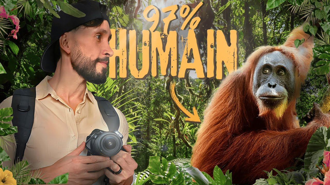 Sur les traces des derniers ORANG-OUTANS de SUMATRA (INDONÉSIE VLOG #1)