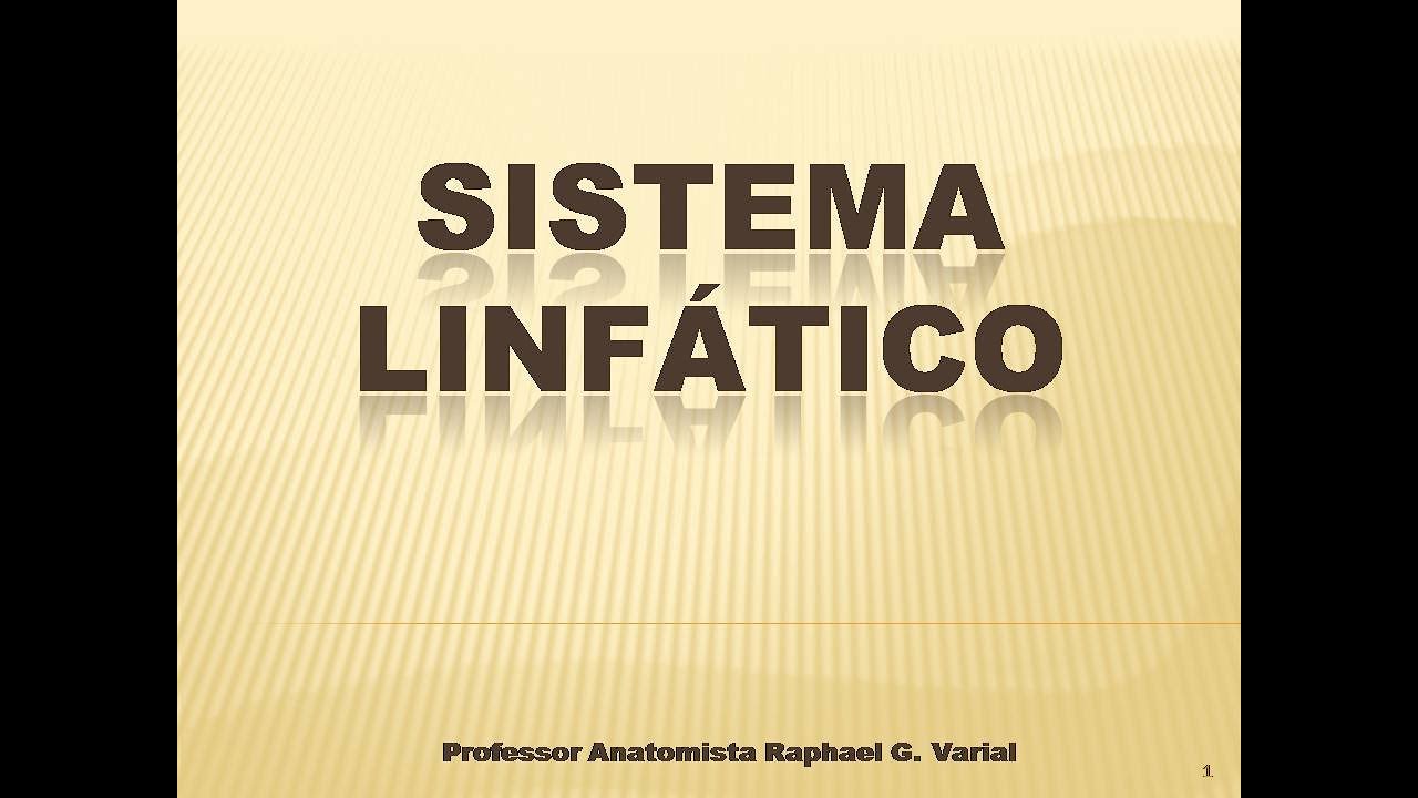 Sistema Linfático