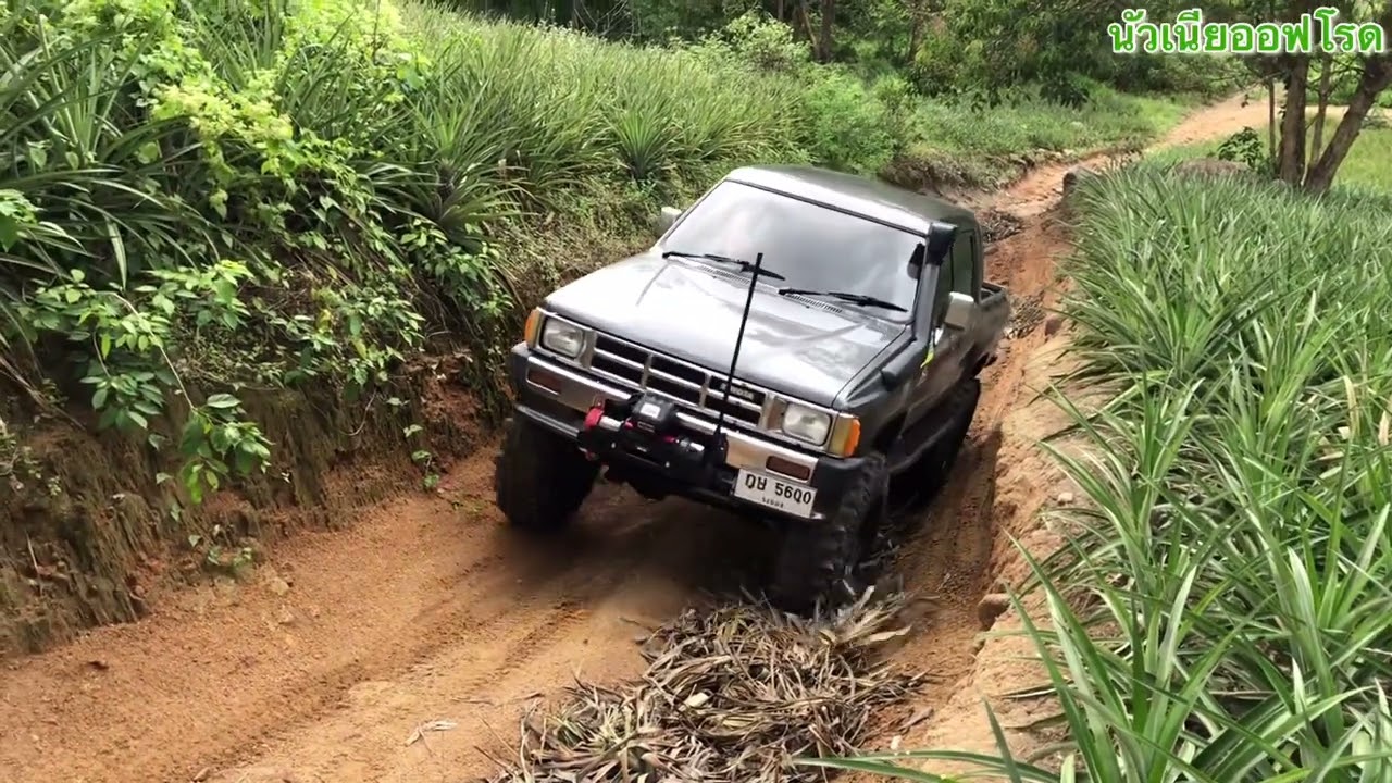 Toyota LN65 4x4 เครื่อง 2L เทอร์โบ ขึ้นจุดชมวิวส์เขานางหย่อง