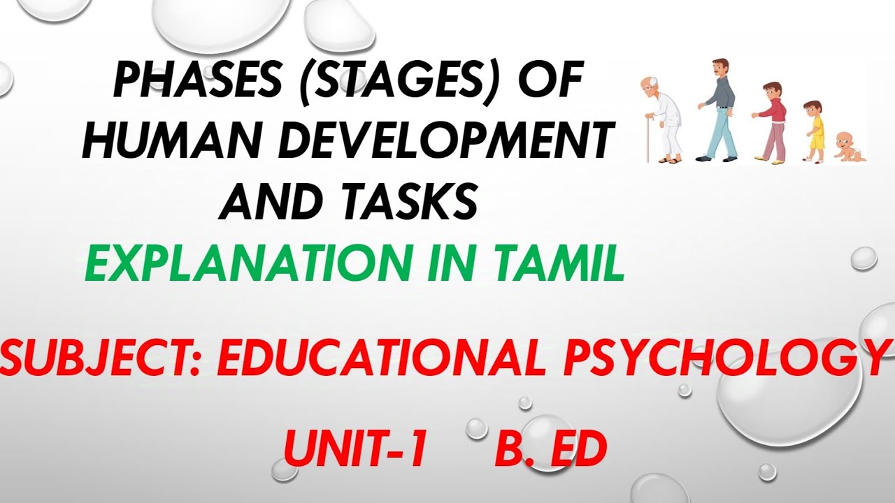 PHASES (STAGES) OF HUMAN DEVELOPMENT AND TASKS EXPLANATION IN TAMIL.. @Starsclassroom99 (UNIT -1)