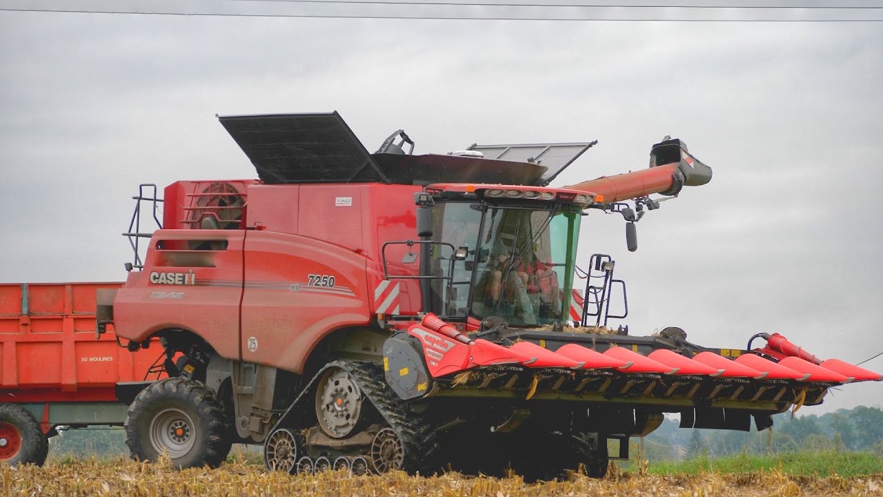 🌽 LE MONSTRE DANS LES MAÏS 2022 | CASE AXIAL FLOW 7250 à CHENILLE 😱| ETA THEAULT