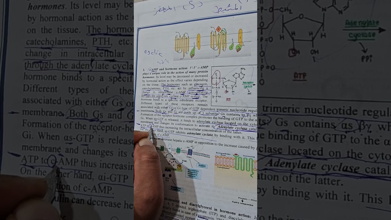 شرح محاضرة الكيمياء النظري مرحلة ثالثة وزاري 2025 المحاضرة الثانية والثالثة مختبرات طبية