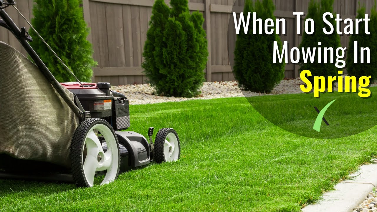 When To Start Mowing Your Lawn In Spring
