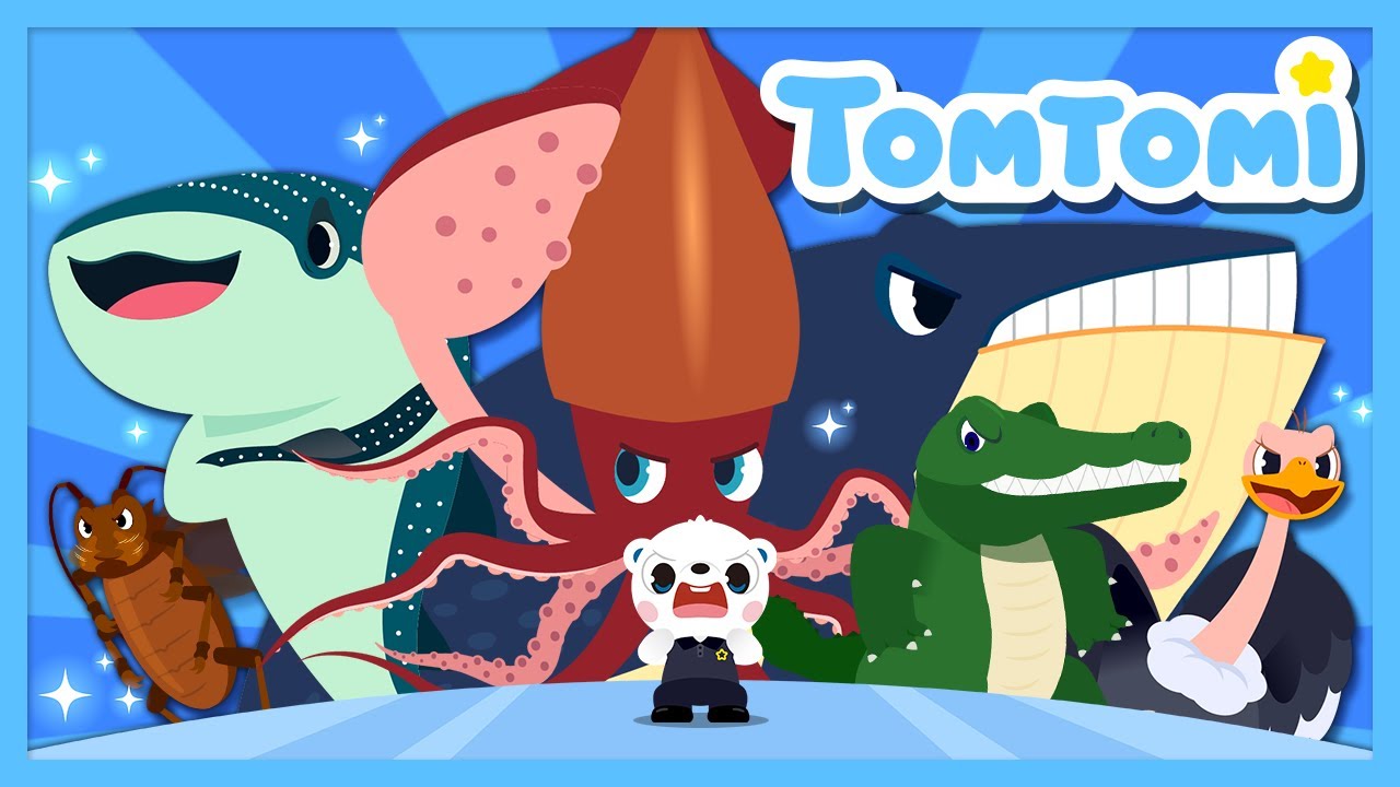 [🌟Nueva] Los Animales Gigantes🐊🦑 | Canciones de Animales Sorprendentes | TOMTOMI en Español