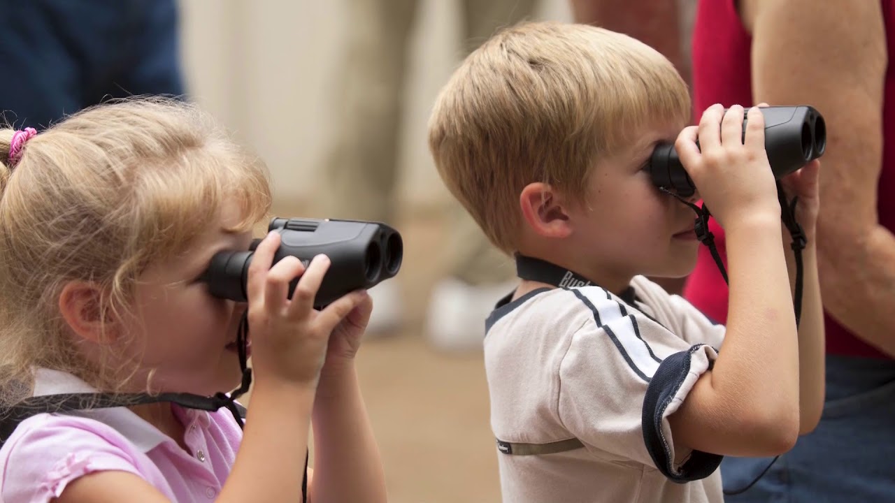Houston Audubon's Gala - Destination High Island