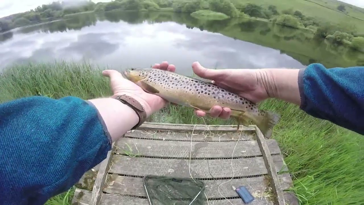 An afternoon fly fishing for brown trout in the Lake District at Kentmere Tarn Cumbria