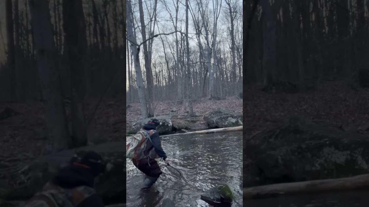 Fly fishing with Kurtz dough bait #Fishing #Flyfishing #FishingAddictAddict #FYP #fishingvideo