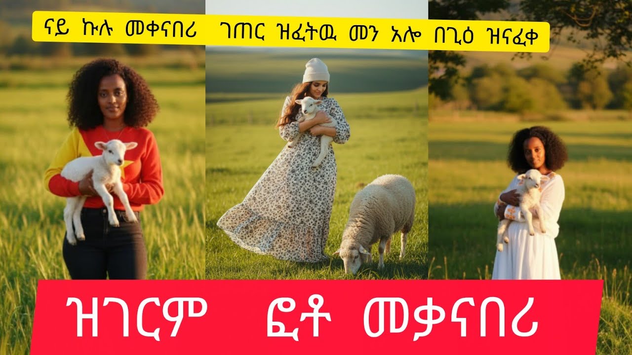  #ዝገርም # #ፎቶ #ናይ #ኩሉ #መቀናበሪ  #ገጠር ዝፈትዉ መን# አሎ #በጊዕ #ዝናፈቀ መን# አሎ