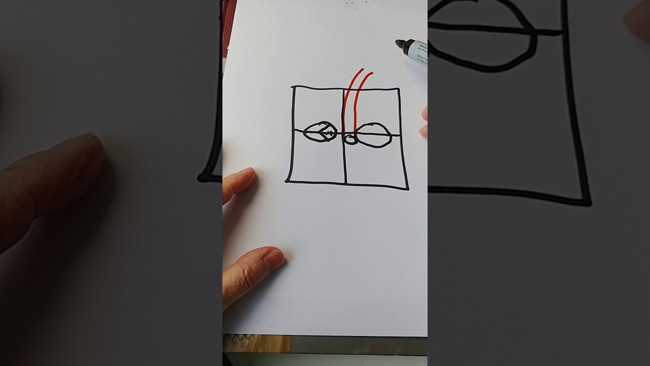 Anatomia w pigułce. U. naczyniowy I. Podstawy.