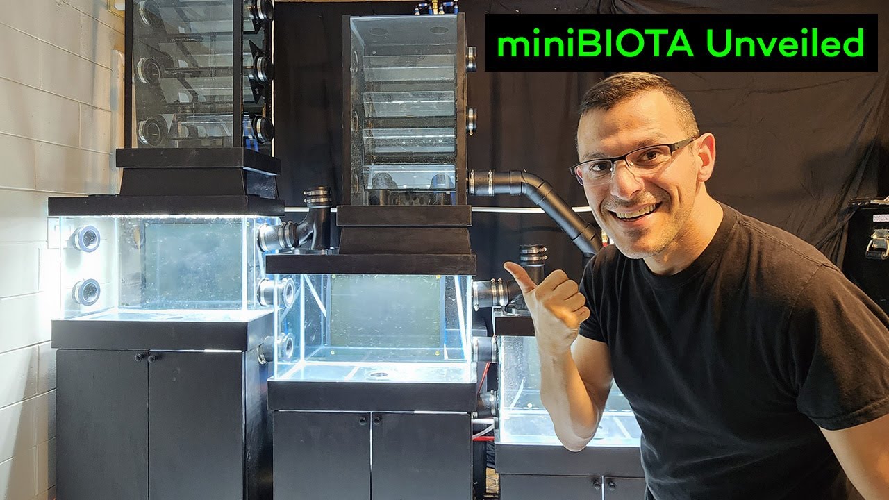 Unveiling miniBIOTA: World's First Modular Closed Ecosphere