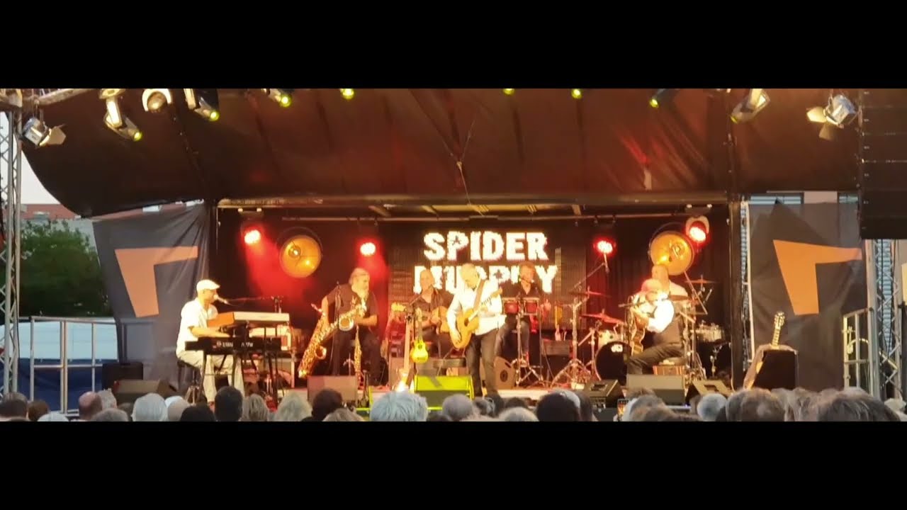 Schickeria_Spider Murphy Gang Gröbenzell | München2024