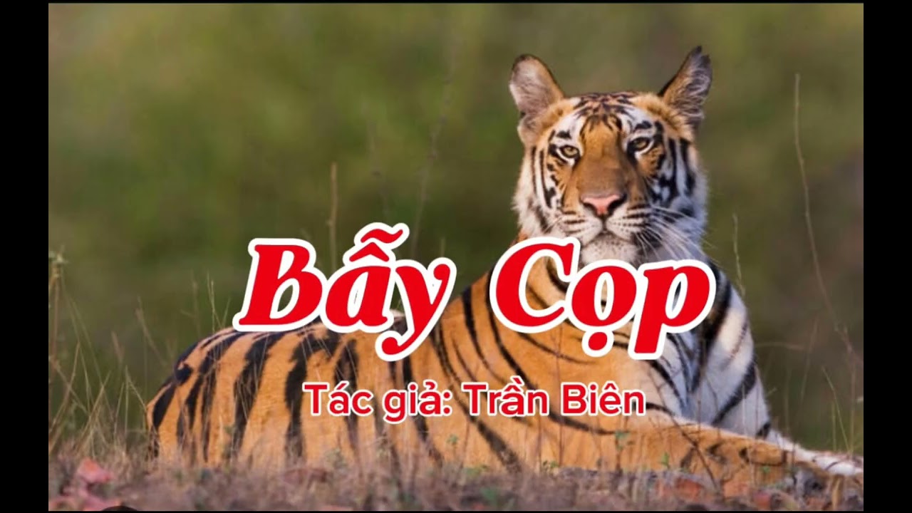 BẪY CỌP | TÁC GIẢ: TRẦN BIÊN | TRUYỆN SĂN BẮN ĐƯỜNG RỪNG | Lê Anh diễn đọc 