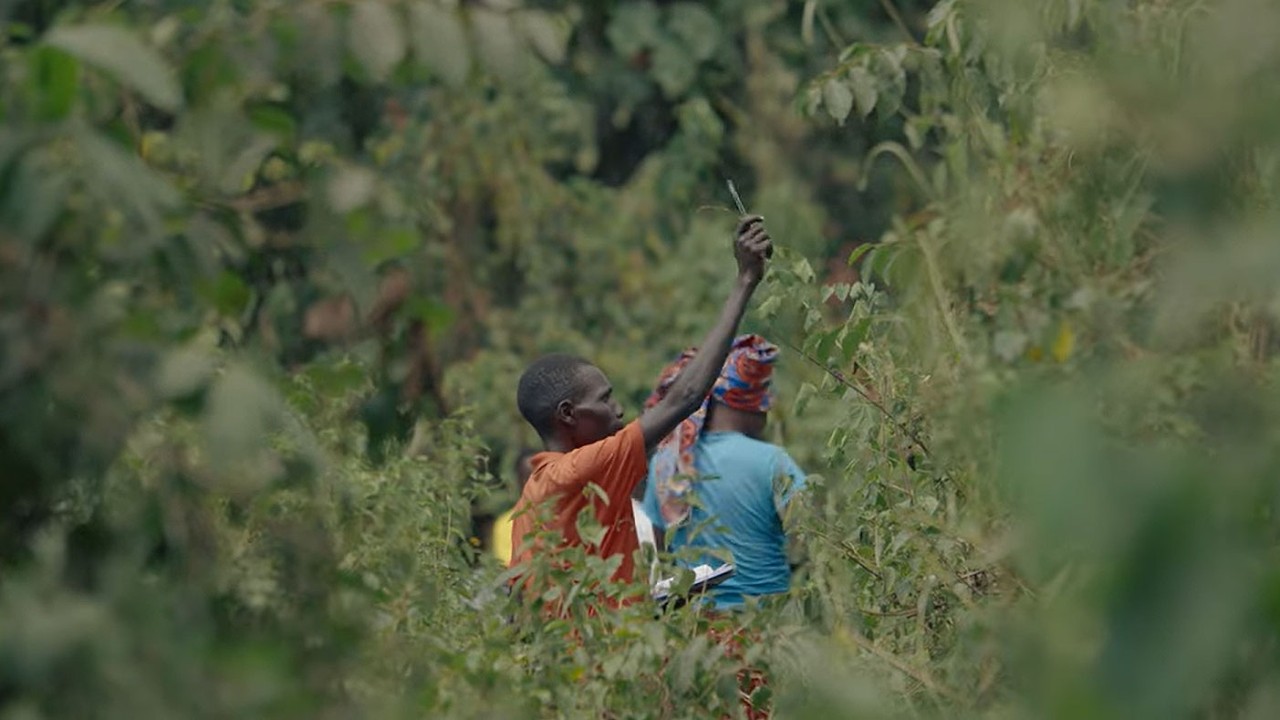 Piloting biodiversity credits – lessons from Uganda