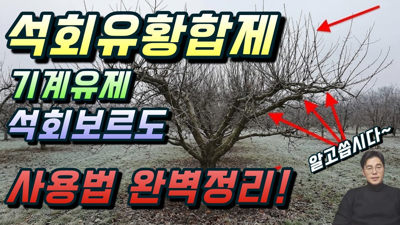 석회유황합제, 기계유제,석회보르도 사용방법과 주의사항. 사용시기와 순서. 완벽정리!