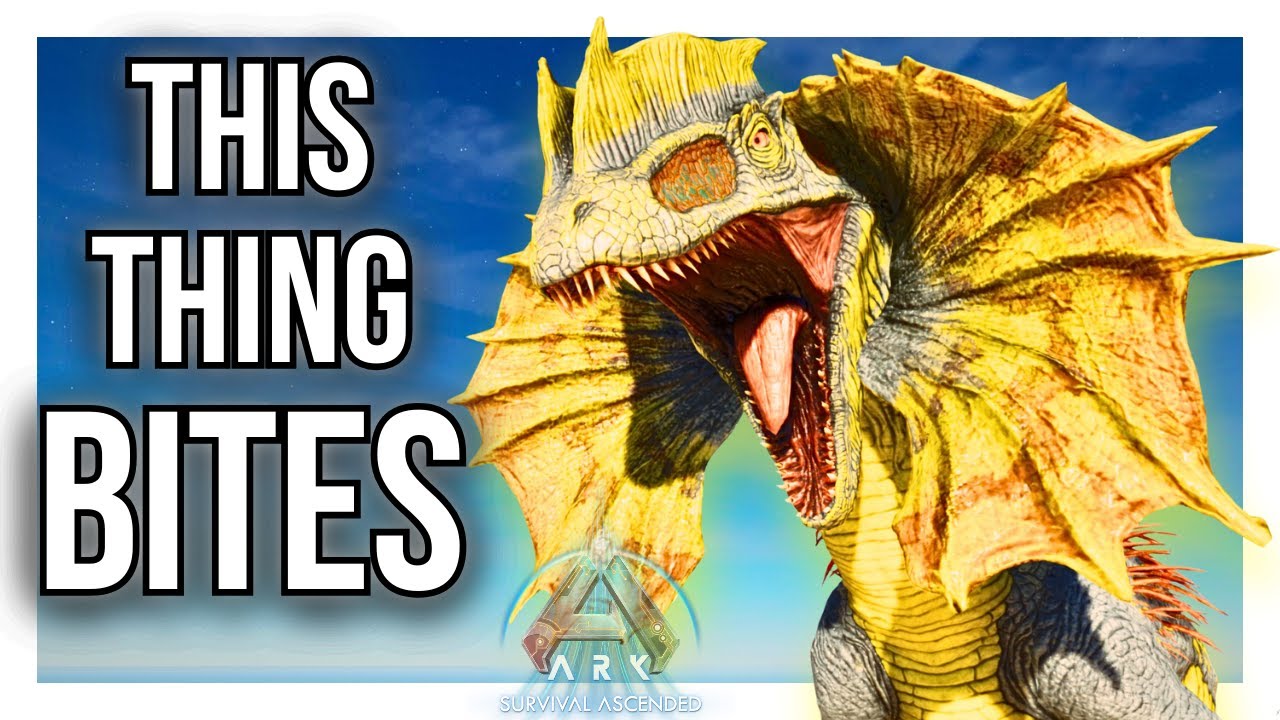 Beginner's Dilo Taming Everything Explained for New Players