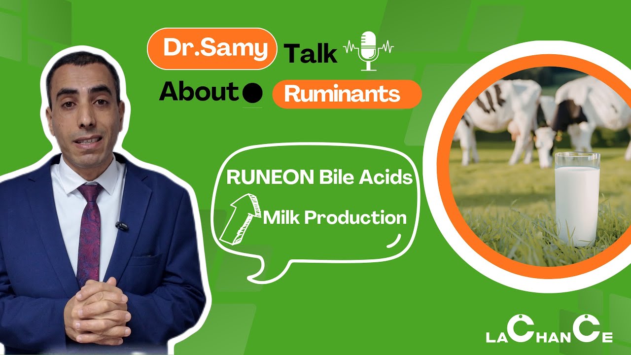 Talk About Ruminants || Bile Acids as Enhancers of Milk Production in Ruminants