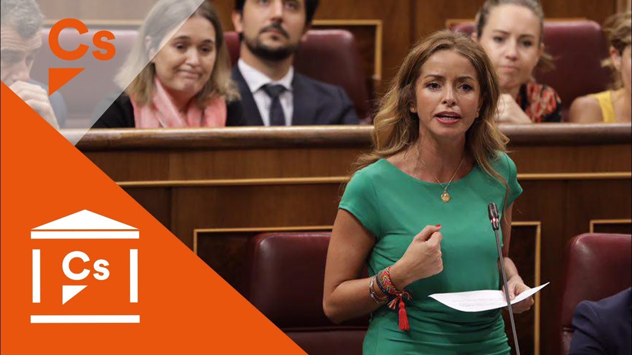 Patricia Reyes. Pregunta al Gobierno sobre gestación subrogada