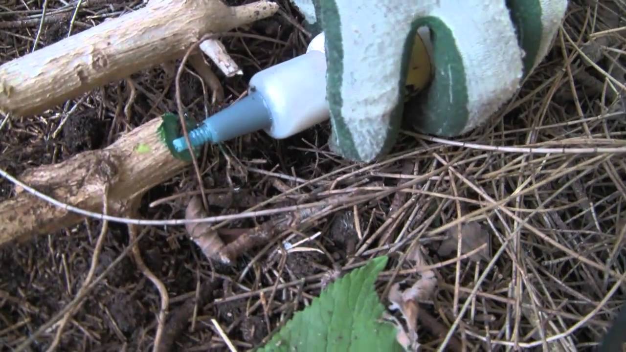 REMOVE LANTANA CAMARA, PITTWATER ECOWARRIORS # 19, 720p