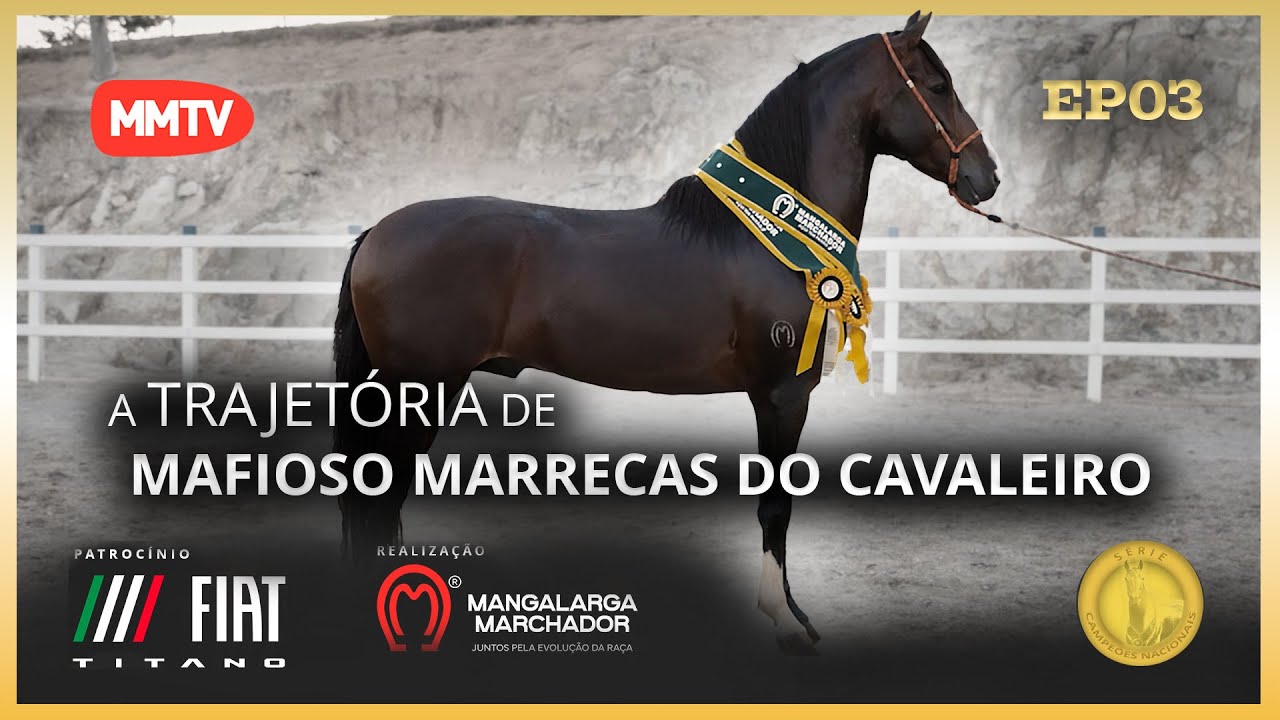 MAFIOSO MARRECAS DO CAVALEIRO  - A TRAJETÓRIA DE UM CAMPEÃO NACIONAL