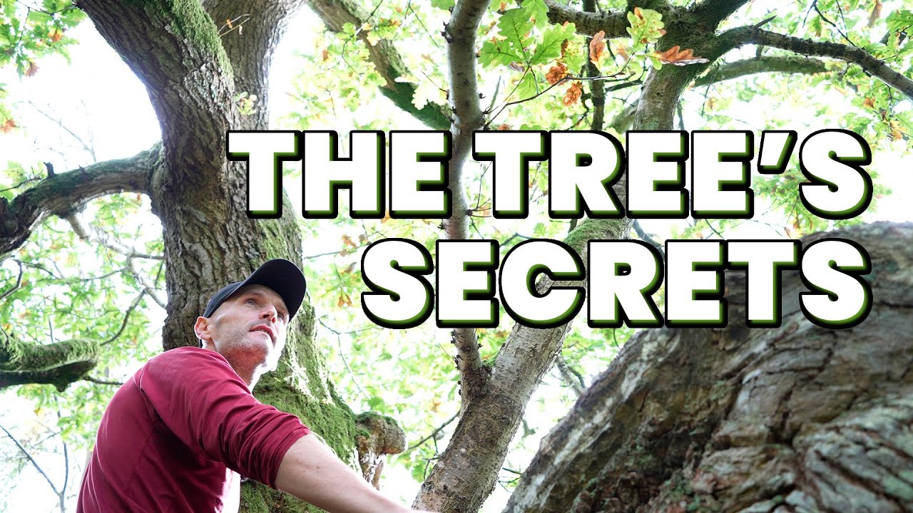 The Secret Life of Trees & The Photographer