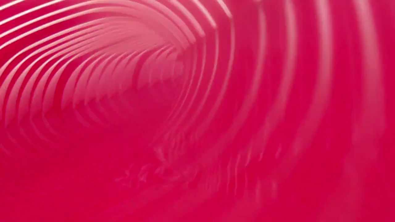 Anaconda (Magic Oval van Egdom) Oceade Brussel HD POV Onslide