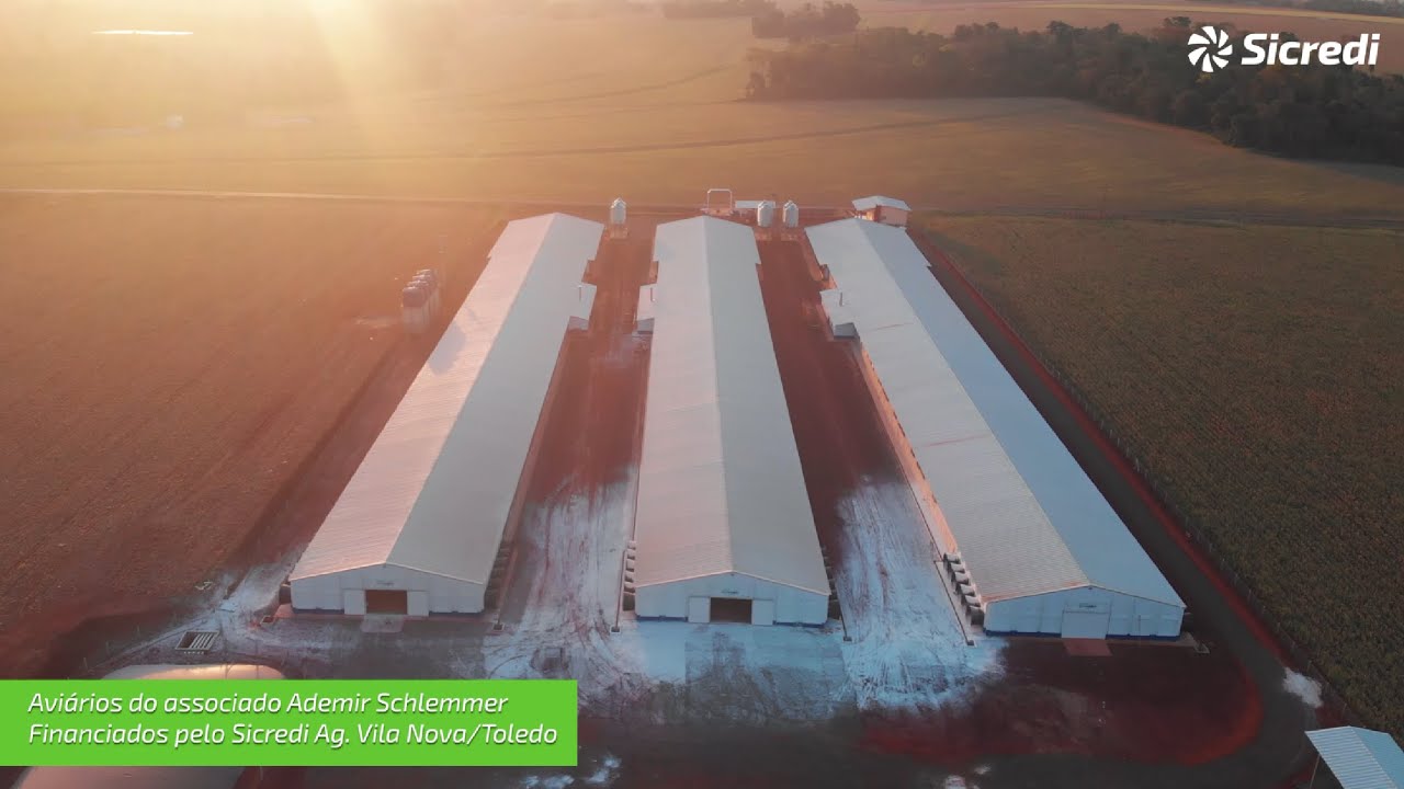 Financiado pelo Sicredi: Projeto de avicultura em Vila Nova - Toledo/PR