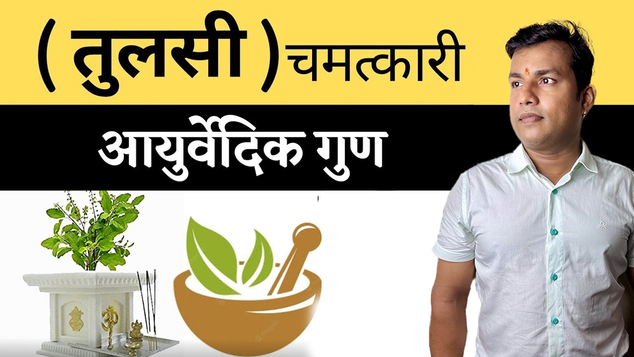 350:Har Har Tulsi(तुलसी) Ghar Ghar Tulsi|| 100 Rogo Ko Ghar Me Thik Karnewali Magic Dawa Tulsi
