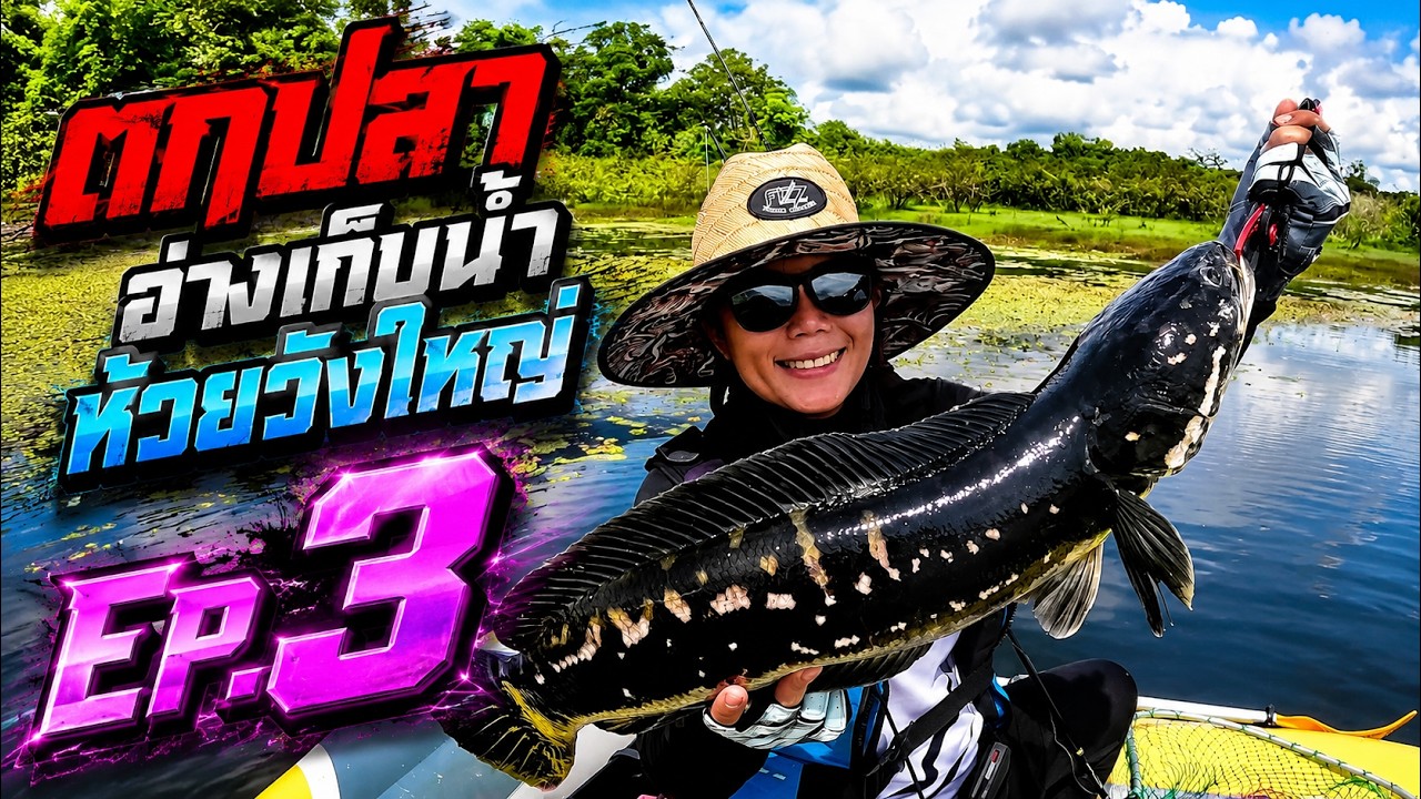 ตกปลาชะโดอ่างเก็บน้ำห้วยวังใหญ่ EP.3
