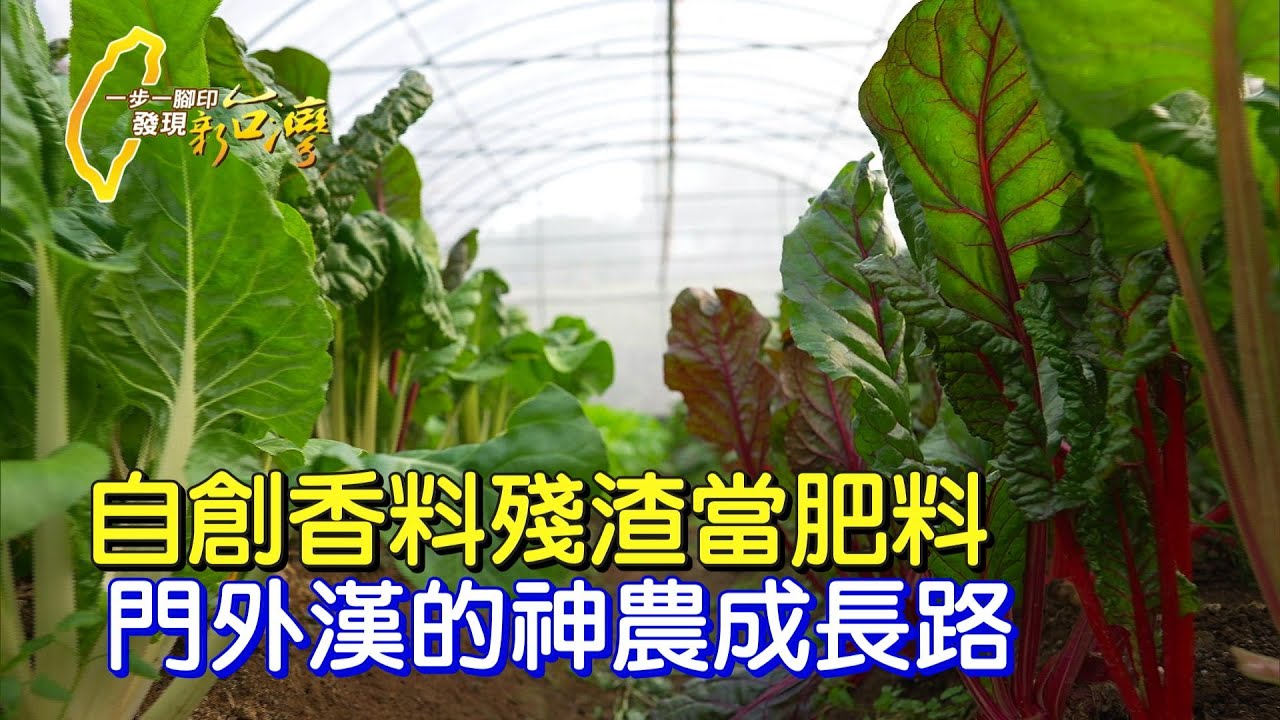 守住父親遺願.傢俱廠老闆轉行農夫.日本專家讚譽：有機菜達人∣ 一步一腳印 彩虹菠菜有機使命 20210321