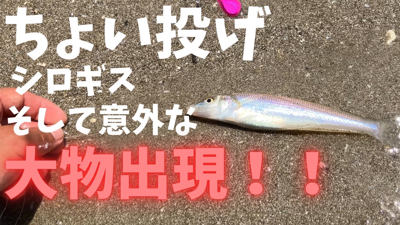 ちょい投げでキスも意外な大物も！！立つ天秤スマッシュと遊ぼう