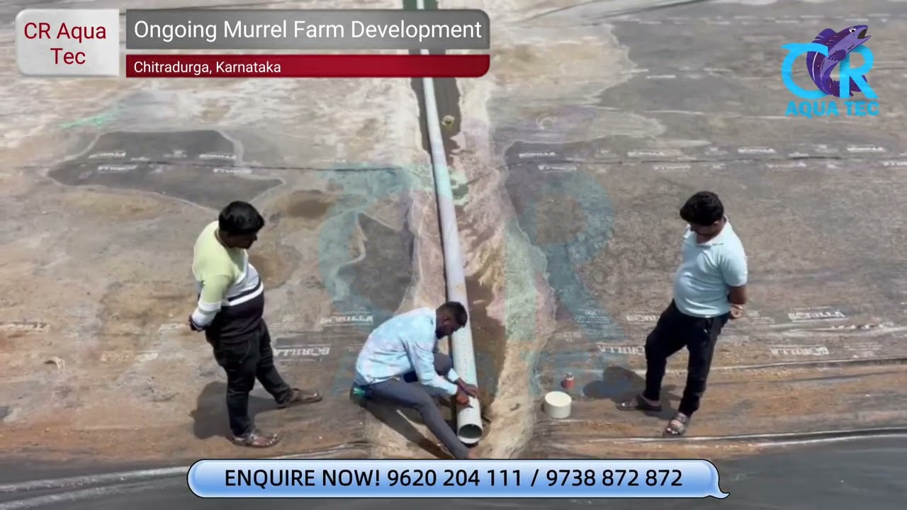 Murrel Fish Farm Construction in Progress | Chitradurga District, Karnataka | CR Aqua Tec