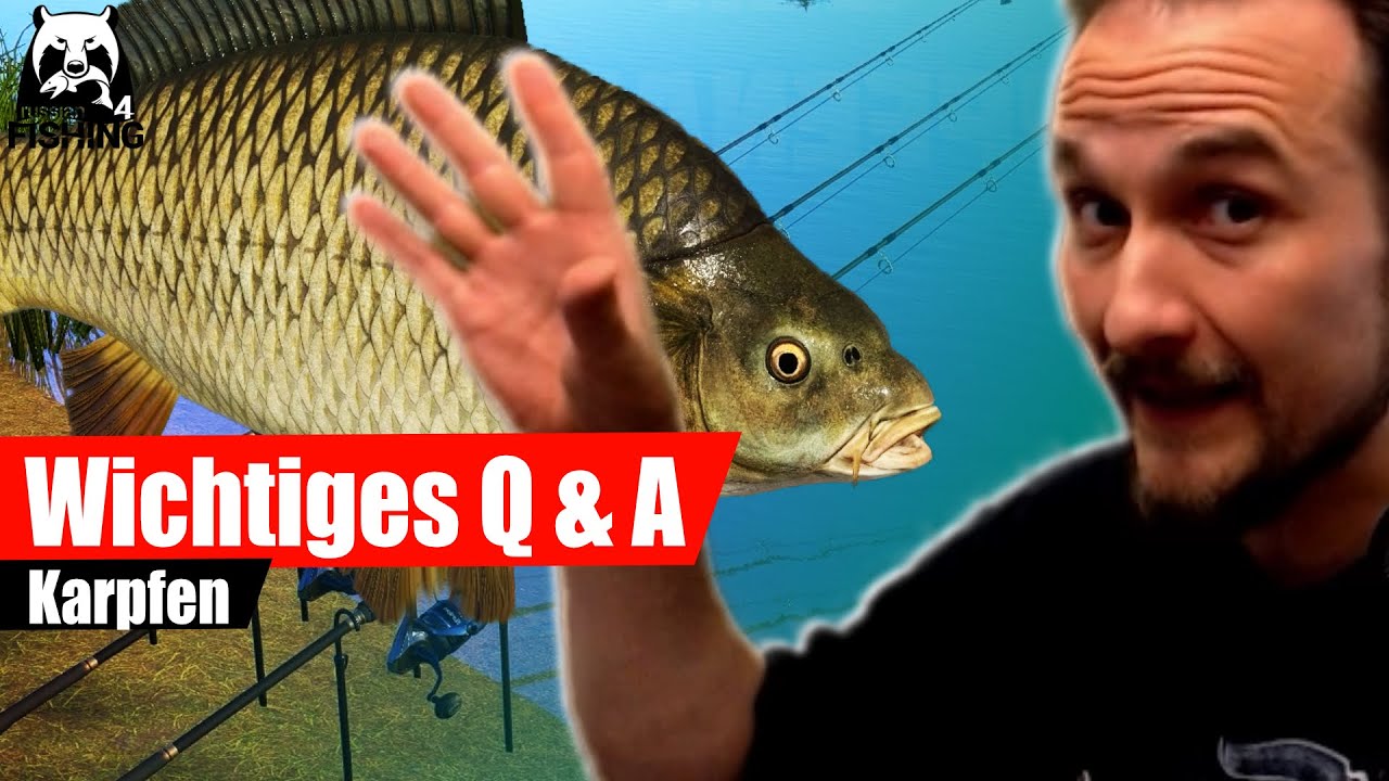 Russian Fishing 4 - NEWS - Q&A: Karpfen und Grundangeln mit TpCatch von RF4
