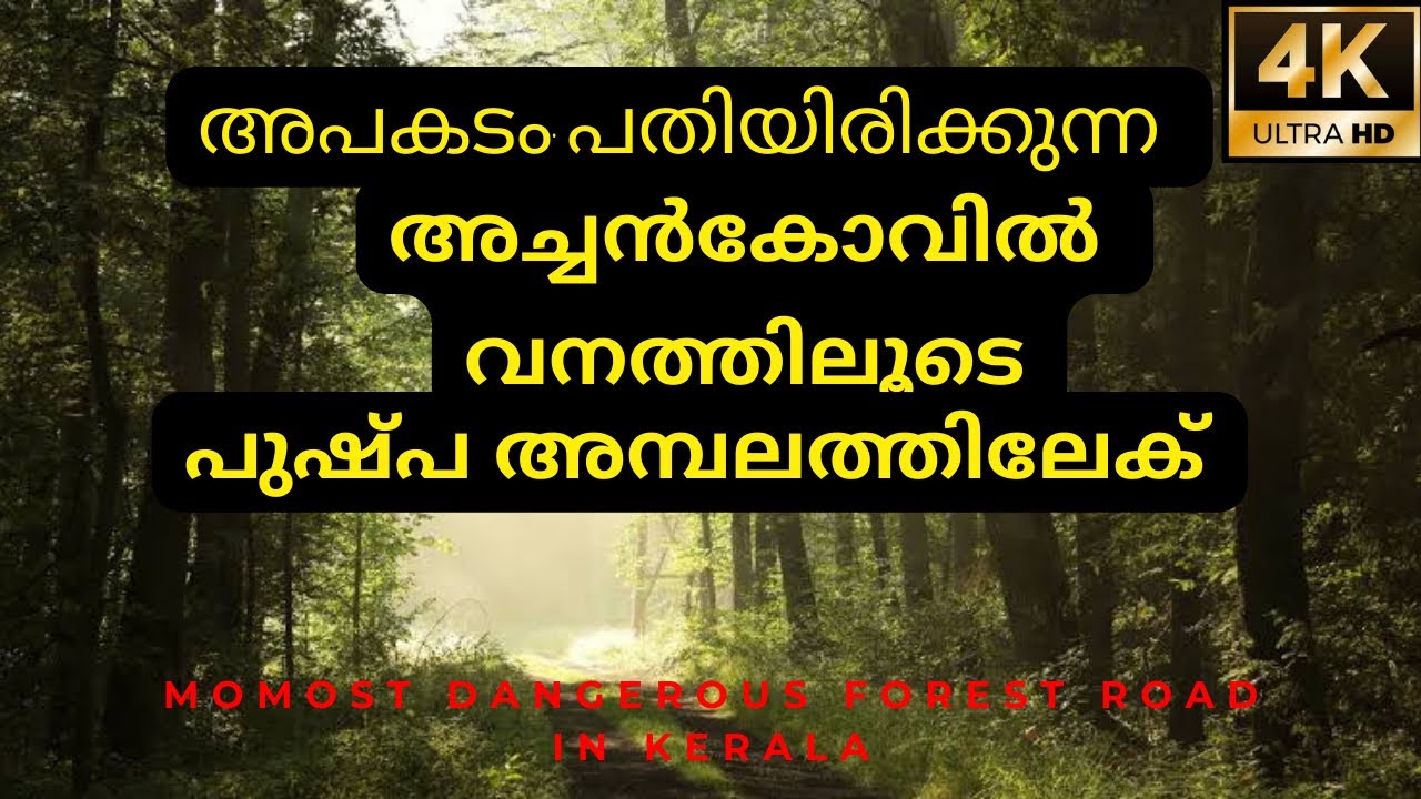 അച്ചൻകോവിൽ കേരളത്തിലെ ഏറ്റവും അപകടകരവും ഭംഗിയുള്ളതുമായ വനപാതാ | ep-1 | konni Achankovil forest 4K