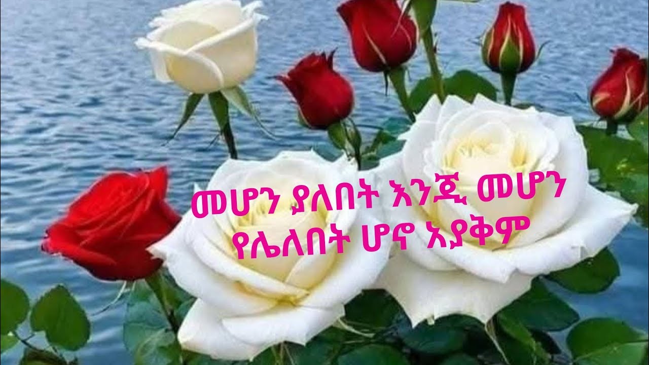 መሆን ያለበት እንጂ መሆን የሌለበት ሆኖ አያቅም