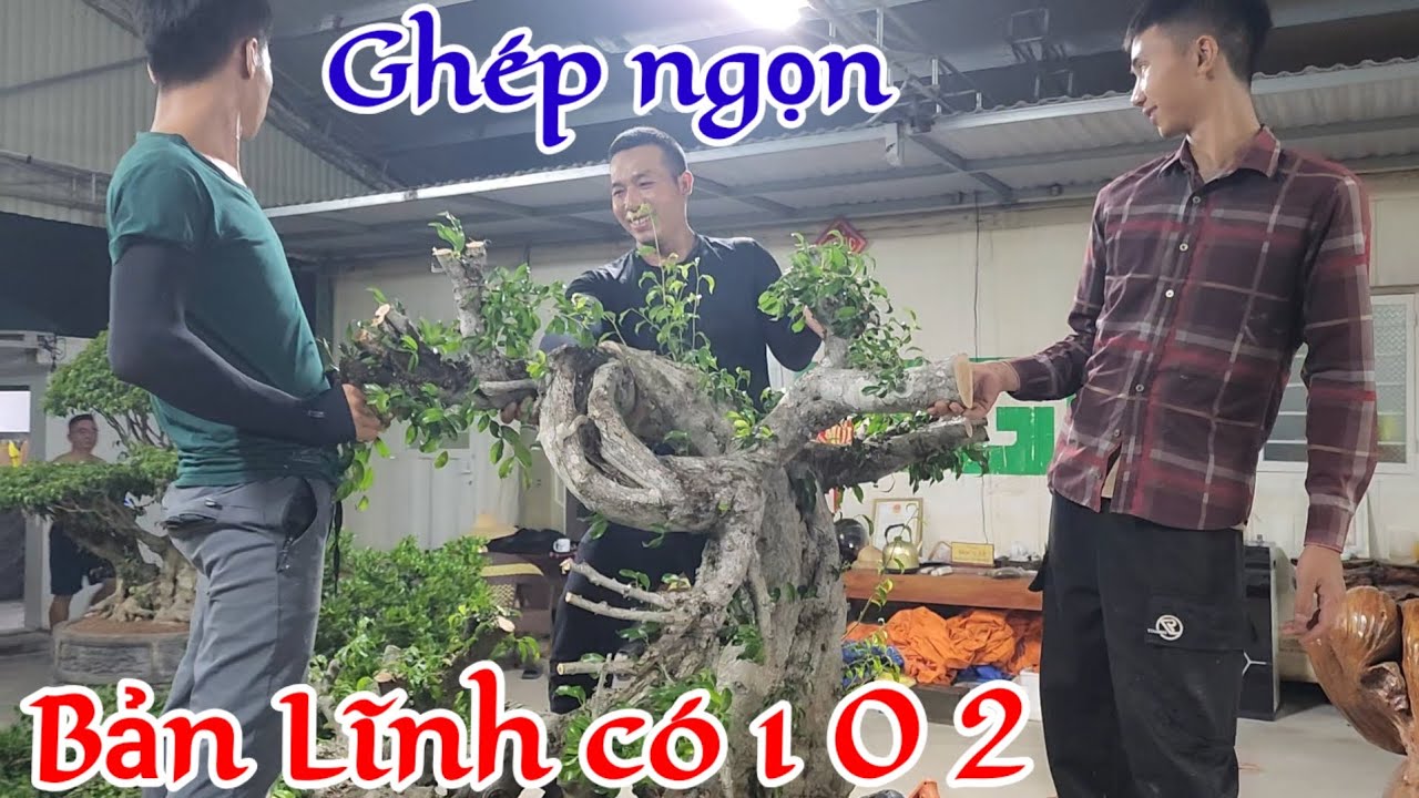 Pha ghép ngọn đảo giáng tư duy & tốc độ ngoạn mục có 1 0 2 của Thuận Đồng Nát tại HTX CC Bách Thuận 