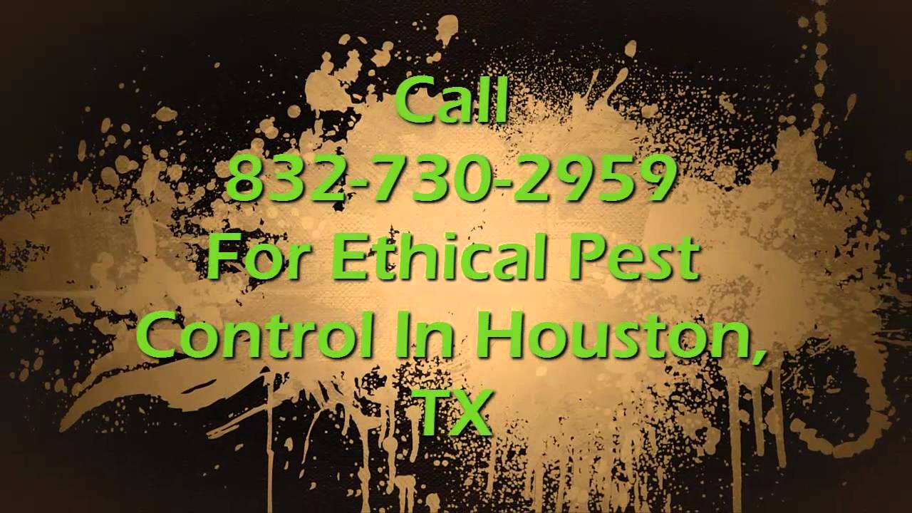 Best Houston Pest Control - 832-730-2959