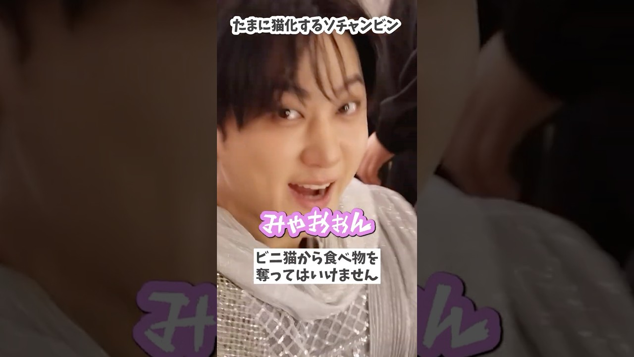 たまに猫化するソチャンビン #スキズ #skz #チャンビン #猫ビニ #skztalkergo