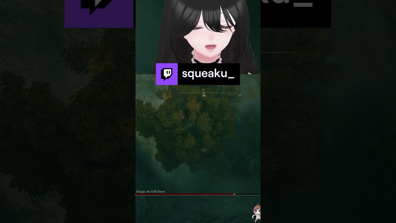 Seamless co-op works great | squeaku_ on #Twitch