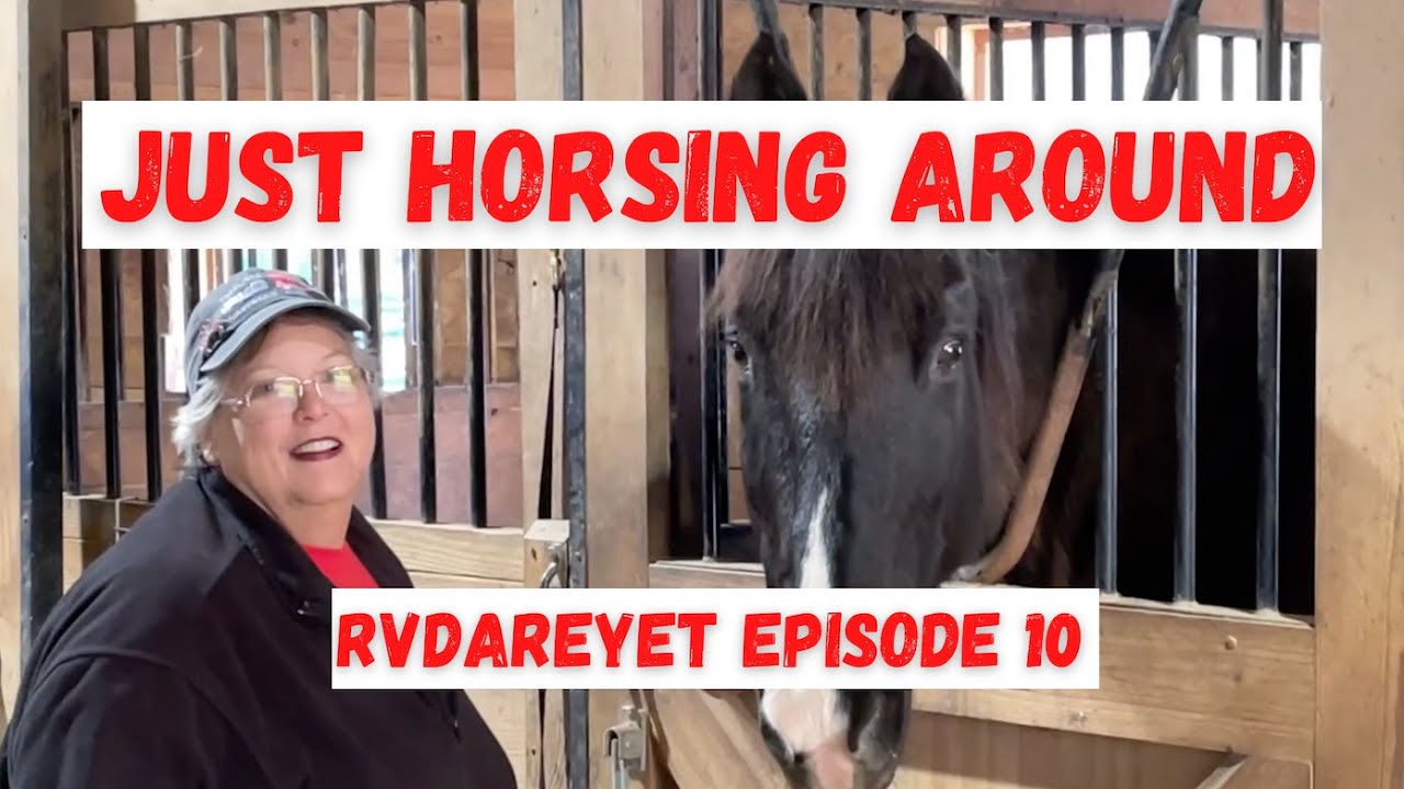 Harvest Hosts//Lynwood Equestrian Center//Pawleys Island, SC//RVDY Ep 10
