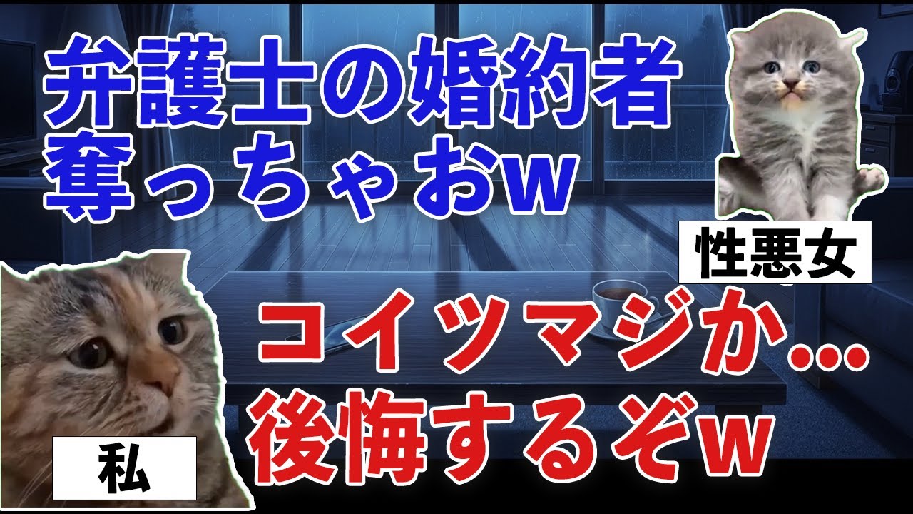【スカッと猫ミーム】性悪元同級生女「婚約者弁護士なんでしょ？奪っちゃえｗ」→結果因果応報過ぎる結末にwww