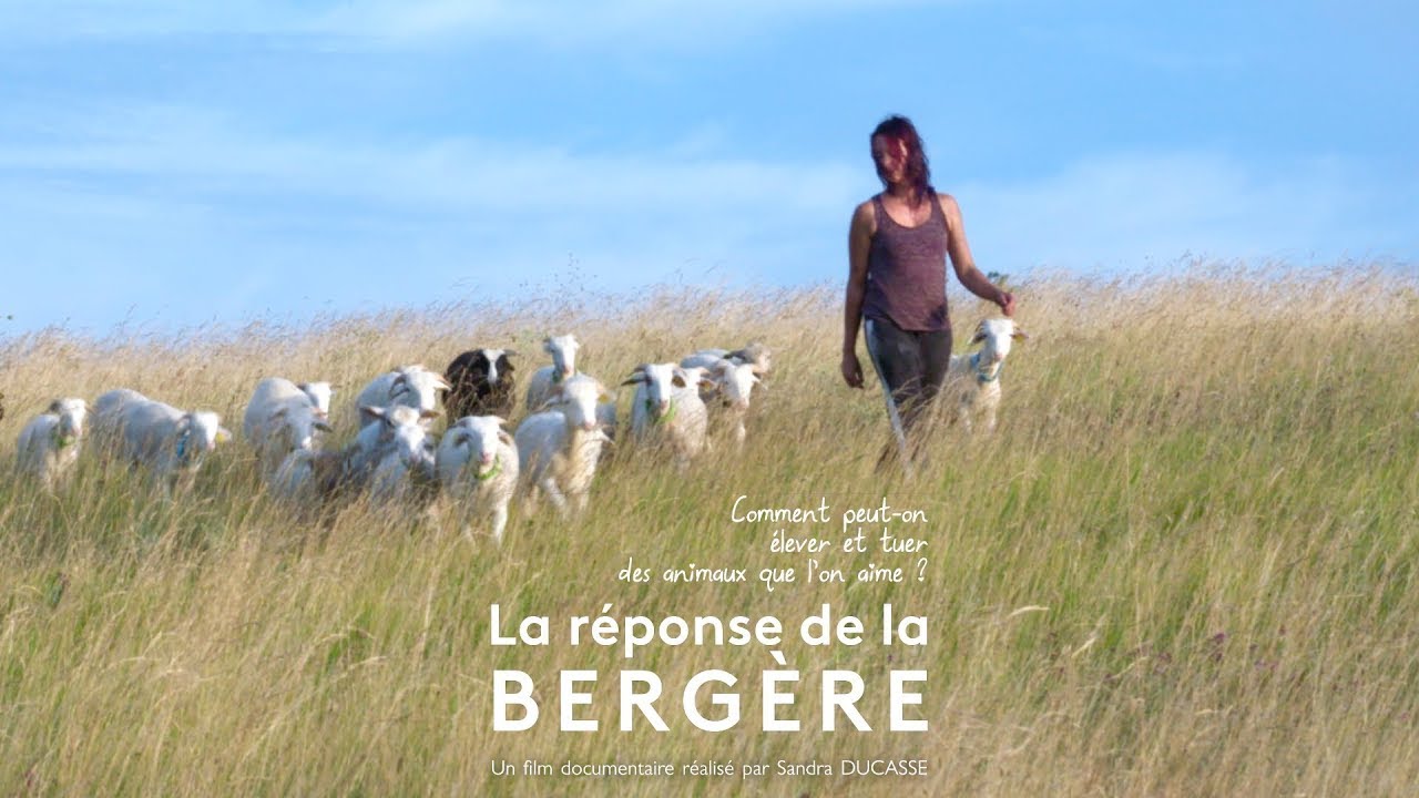 La réponse de la bergère // Teaser