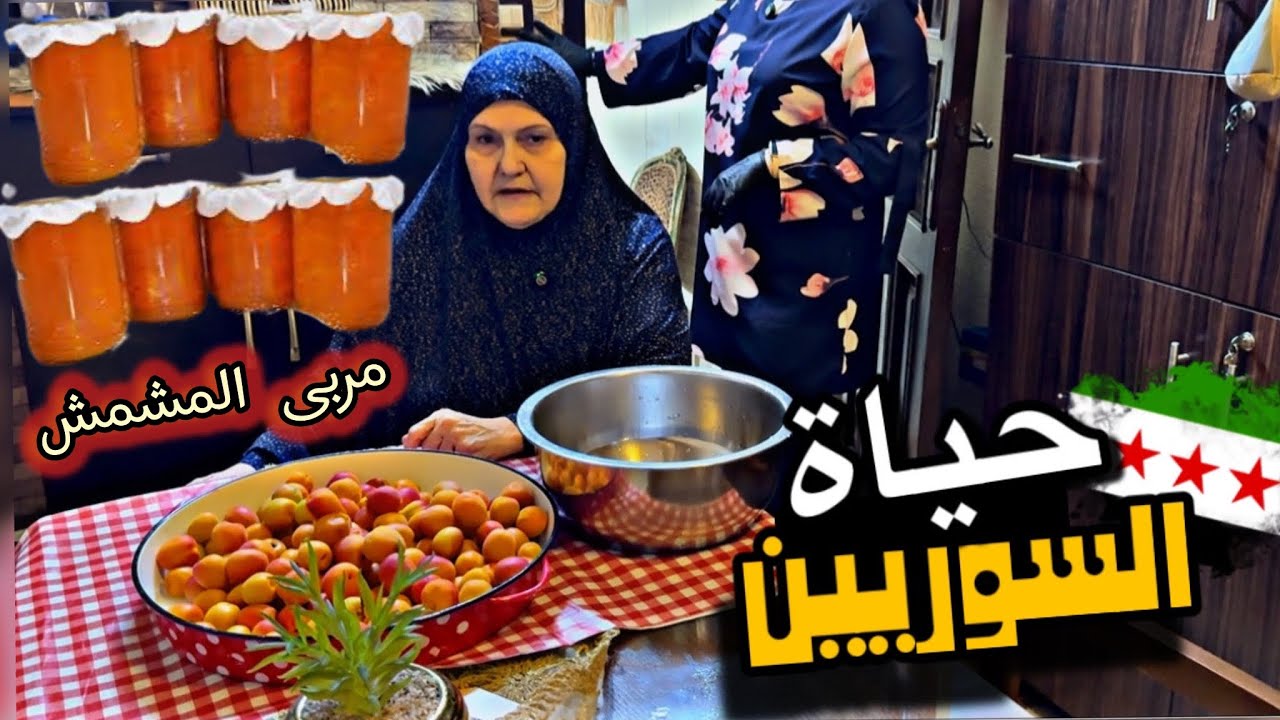 تجهيز مؤونة الشتاء مع أمي 🔥 وطبخ ورق عنب ☘️ يبرق سوري بلدي 🍯 مربى المشمش