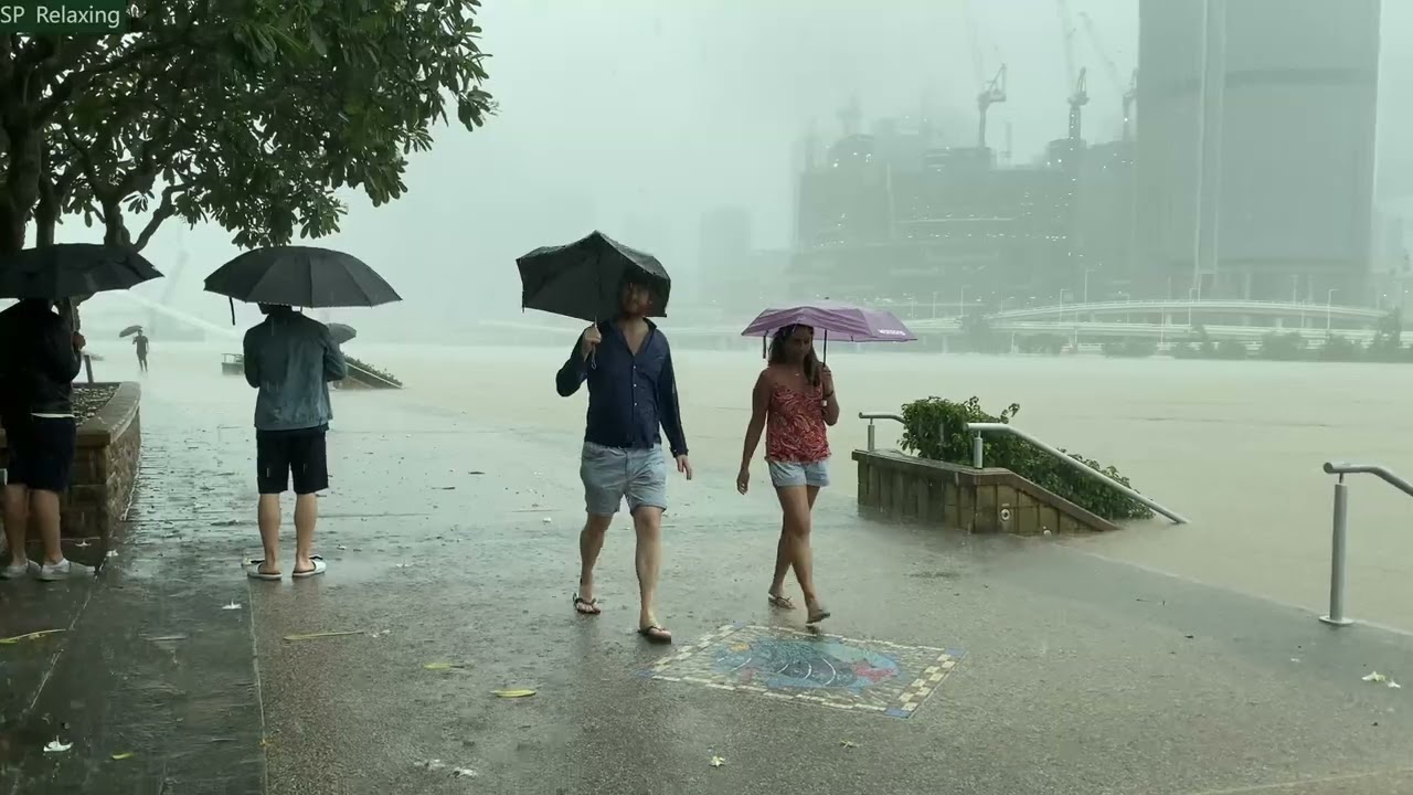 Walking in Heavy Rain in BRISBANE SOUTH BANK  and Nature Sounds 2022【4K】