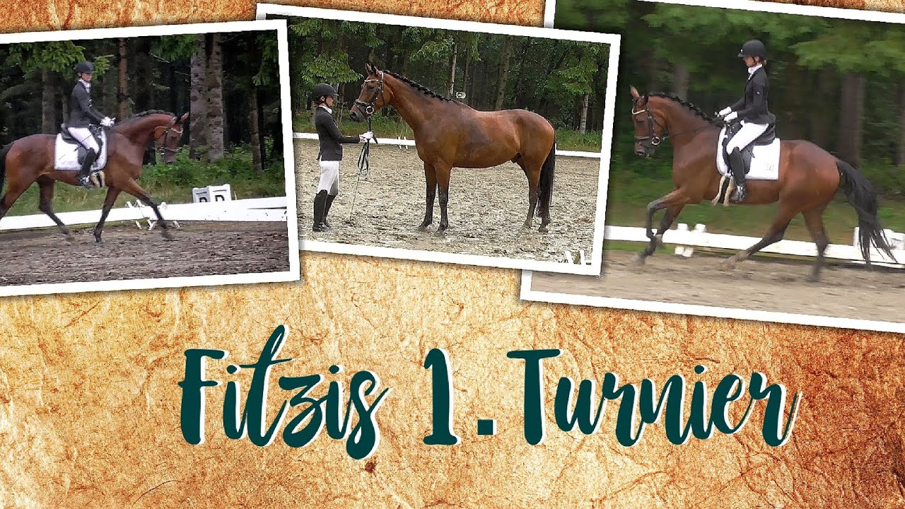 Fitzis erstes Turnier ! 🥳😍 I Reitpferdeprüfung I 4j. I So brav! 😍 I #9/21