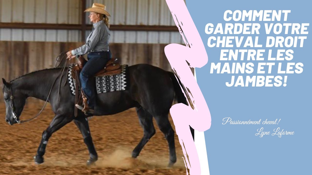 Tenir versus encadrer! Comment garder votre cheval droit sans le tenir!