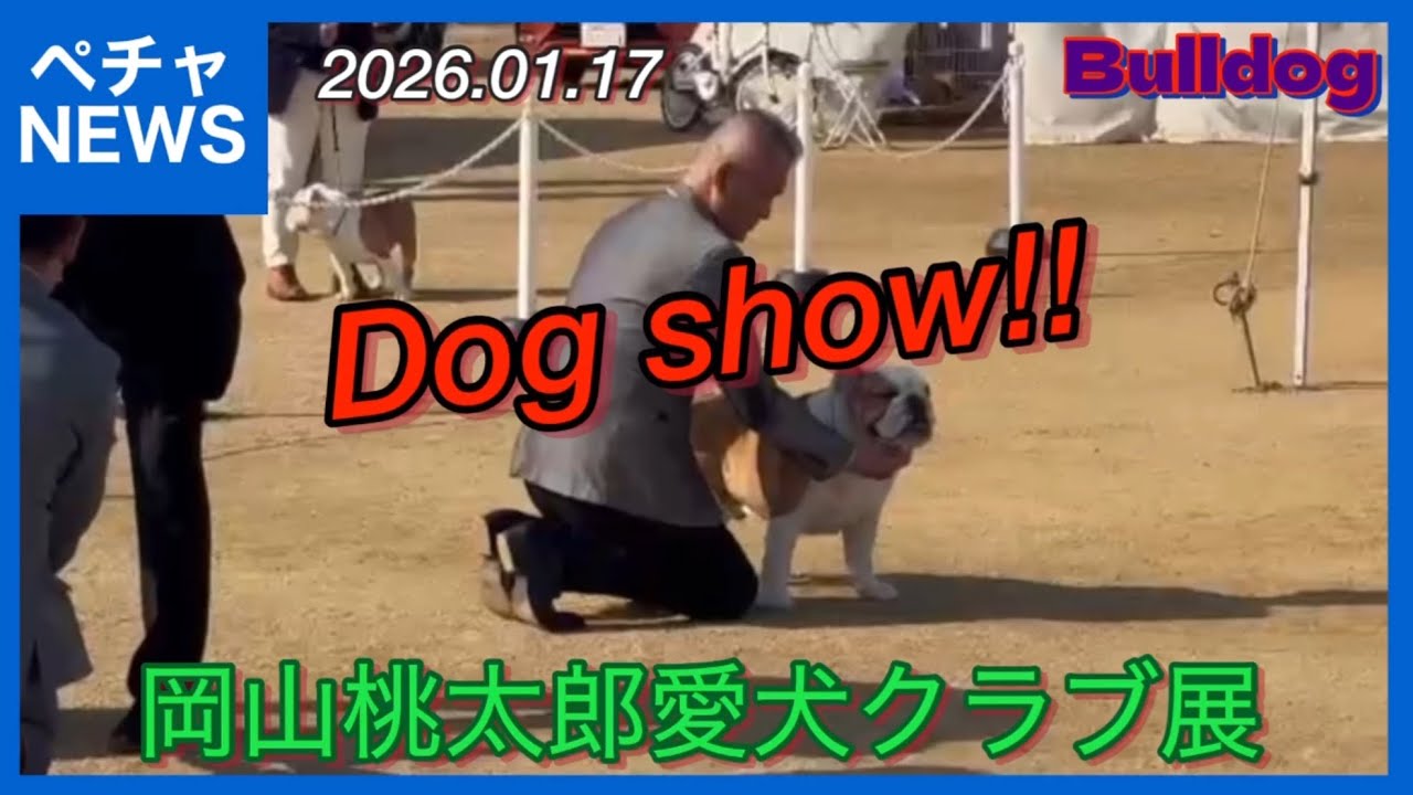【緊急動画】Dog show!!  岡山桃太郎愛犬クラブ展！2026.01.17