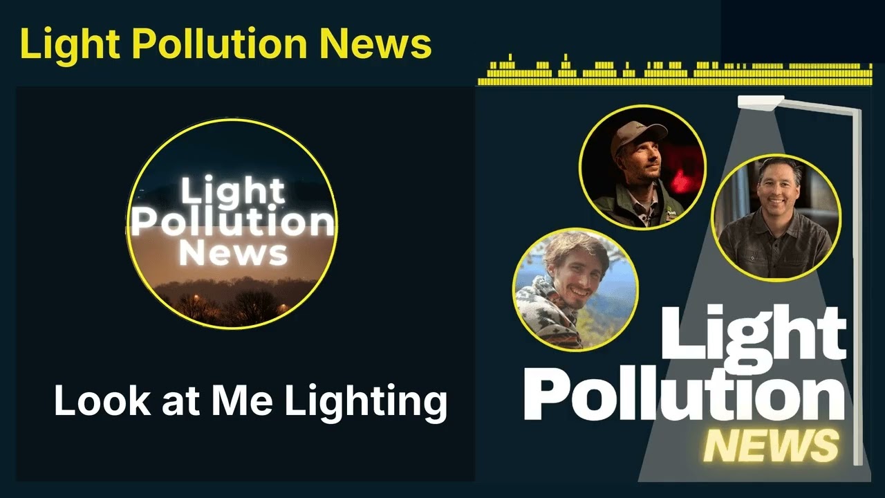 Look at Me Lighting